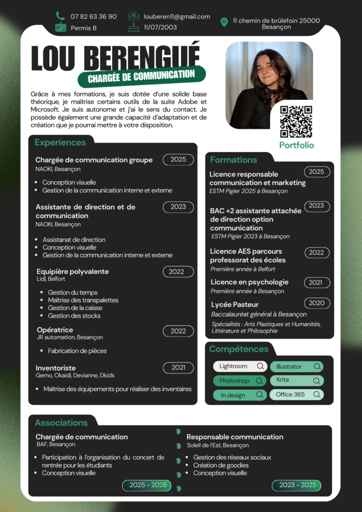 cv professionnel