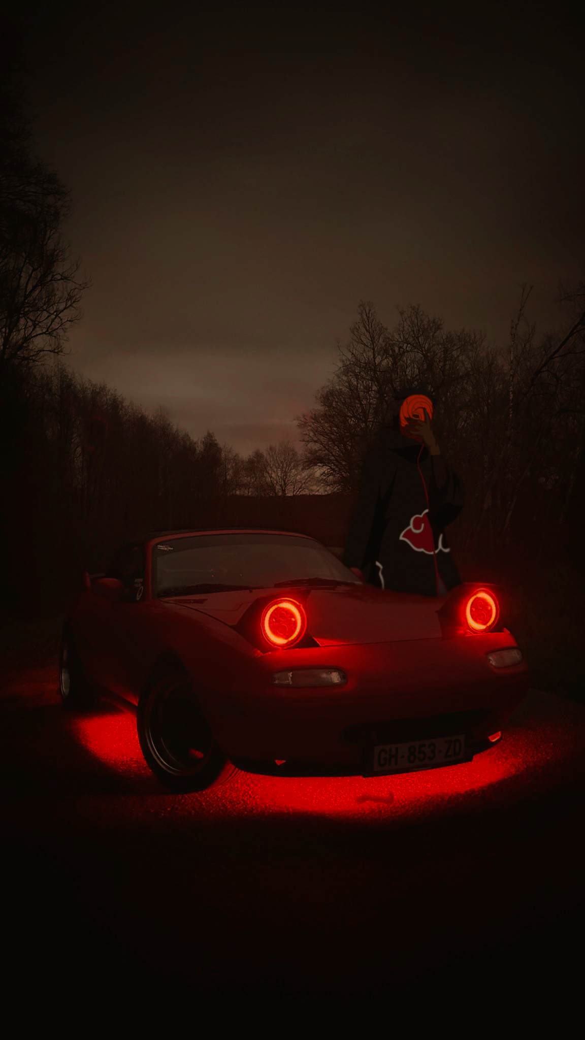 affiche ronan naruto