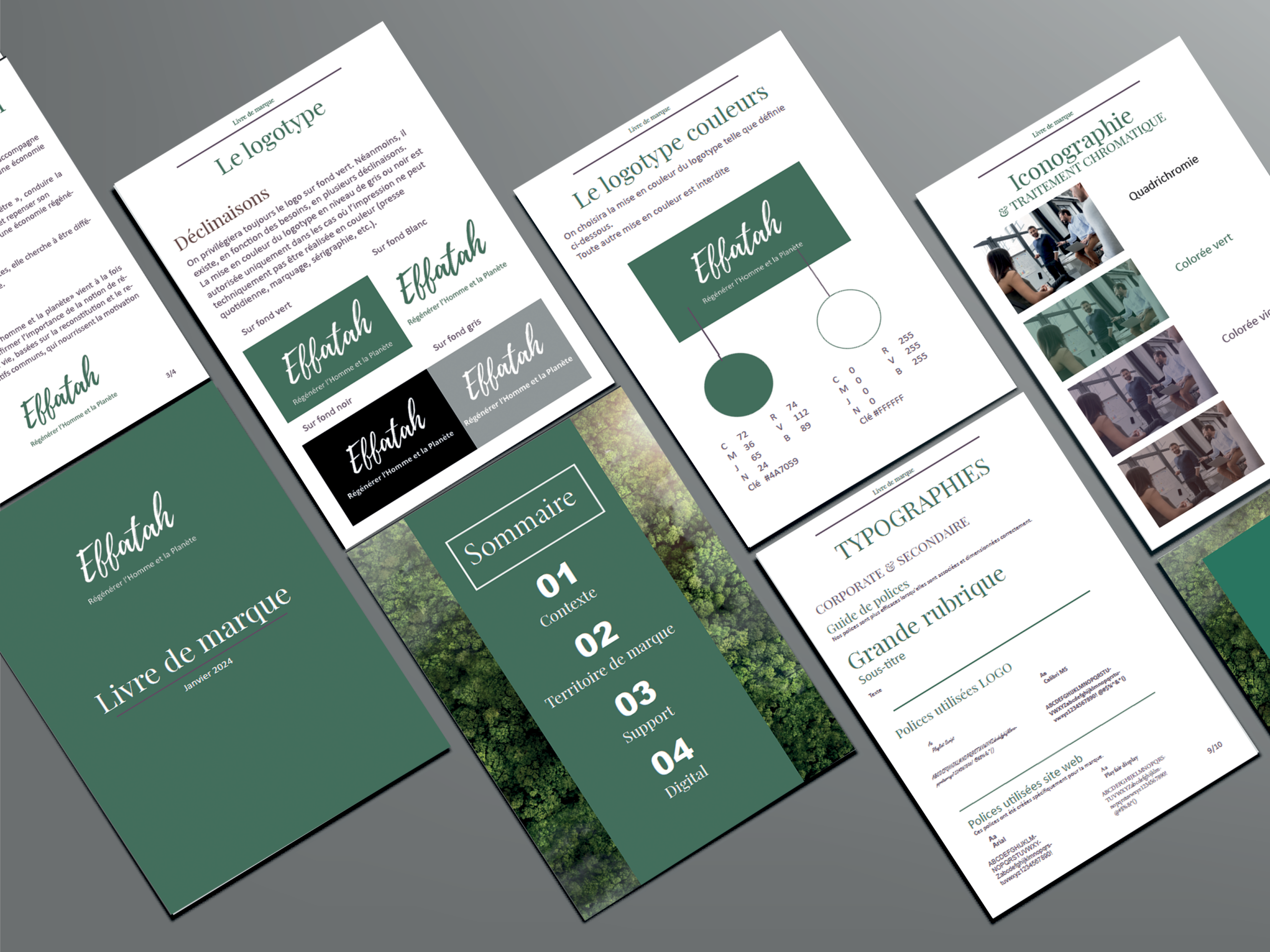 Projets professionnels mockup charte graphique