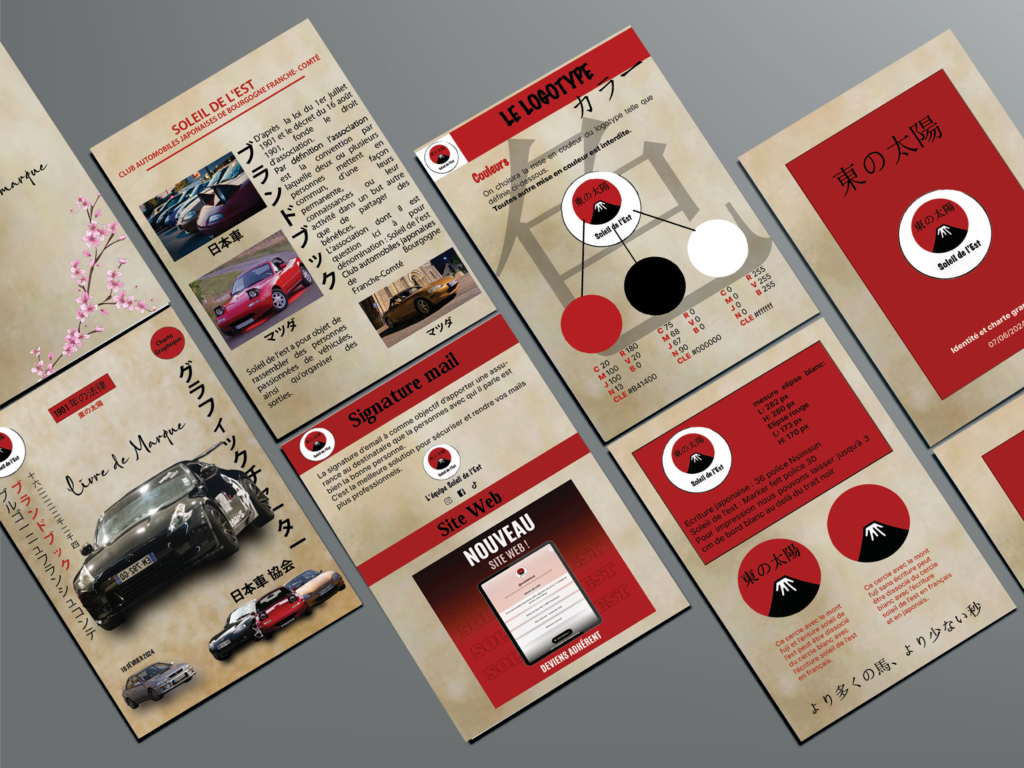 mockup charte graphique sde